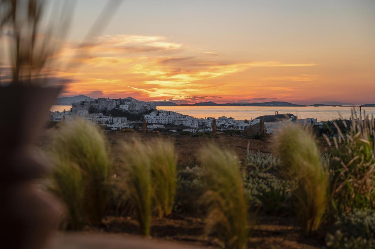 Opuntia Suites Naxos City Екстер'єр фото
